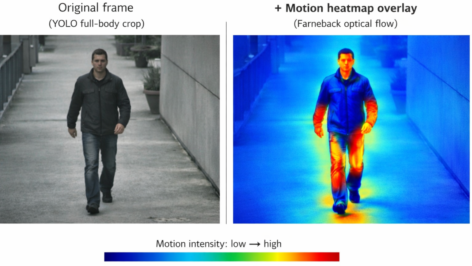 Side-by-side comparison: original cropped frame vs motion heatmap overlay